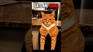 Crazy Ex-Girlfriend of a Sigma Cat 💀 #edit