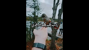 إن الحياة قليلة لذ اتها 