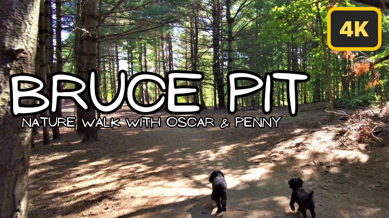 Exploring Bruce Pit: A Hidden Gem for Nature (and Dog) Lovers - YouTube