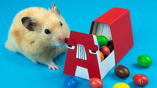Hamster Surprise Alphabet Lore A Candy Gift Box DIY 🐹 Easy Paper Craft Idea