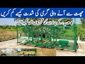 Easy roof insulation methods and raising chickens at rooftop in summer in pakistan  dr arshad