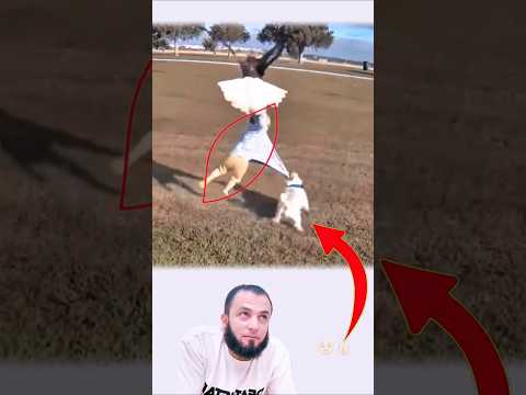 نسر كاد أن يخطف الطفل فجاء الجرو الصغير ليكون درع ا له بلطف الله  