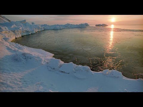 Vidéo: Façons D'ajouter De La Lumière Dans Une Pièce Qui Reçoit Rarement Le Soleil