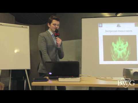 Восприятие визуального искусства и мозг. Буквоед - часть 1