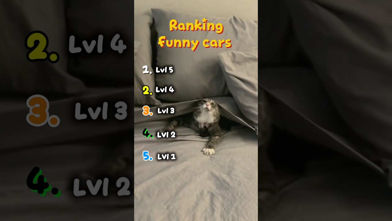Top 5 funny cats #shorts