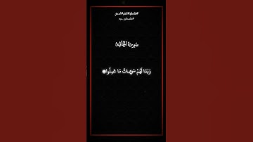 سورة الجاثية _ احمد خضر  #قران_كريم #قرآن #راحة_نفسية #quran #ارح_قلبك #تلاوة_خاشعة
