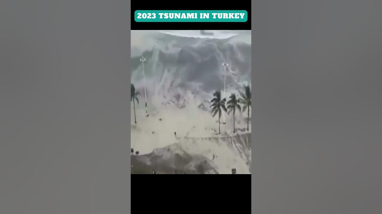 Live tsunami tracker hawaii