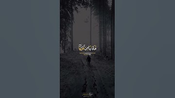 قرآن كريم بصوت القارئ شريف مصطفى تلاوة مؤثر ارح قلبك 💚🌿حاله واتس اب /استوري انستغرام