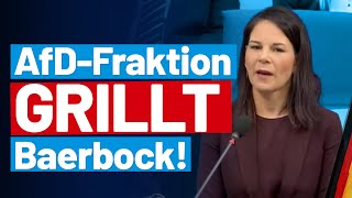 Regierungsbefragung: AfD-Fraktion grillt Annalena Baerbock und Volker Wissing!