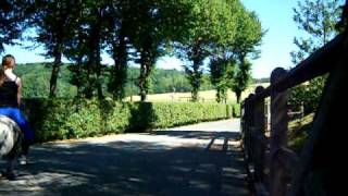trot grande vitesse avec utopia.AVI