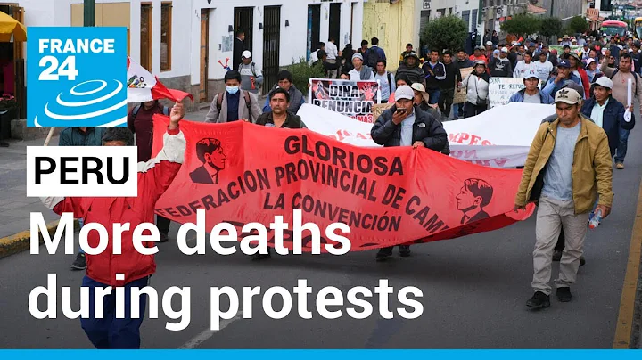 More deaths during anti-government protests in southern Peru • FRANCE 24 English