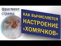 Как вычисляется настроение "хомячков"