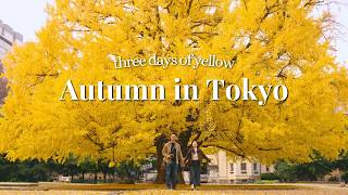 3 Days of Tokyo in Autumn (from Mt Fuji) 🍁 Ueno, Gotokuji, Hibiya, Shibuya & Ginza | Japan Vlog