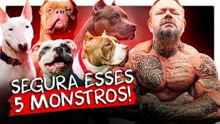 CINCO TIPOS DE PITBULLS MAIS TOP! | RICHARD RASMUSSEN