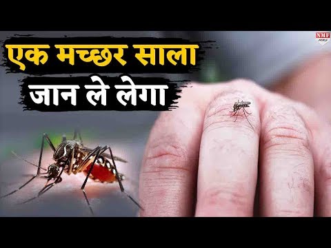 वीडियो: एक दिन की छुट्टी का आनंद लेने के 3 तरीके