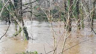 River ely burst it's banks