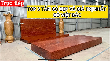 Trực tiếp| TOP 3 Tấm gỗ ĐẸP VÀ GIÁ TRỊ NHẤT Gỗ Việt Bắc