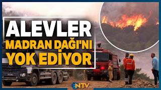 İki Mahalle Tamamen Boşaltıldı! Aydın Çine'de 800 Kişilik Dev Yangın Mücadelesi | NTV