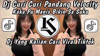 DJ VIRAL‼️DJ CURI CURI PANDANG VELOCITY KANE | KAKA PU MANIS BIKIN SA SUKA VIRAL TIKTOK TERBARU 2026