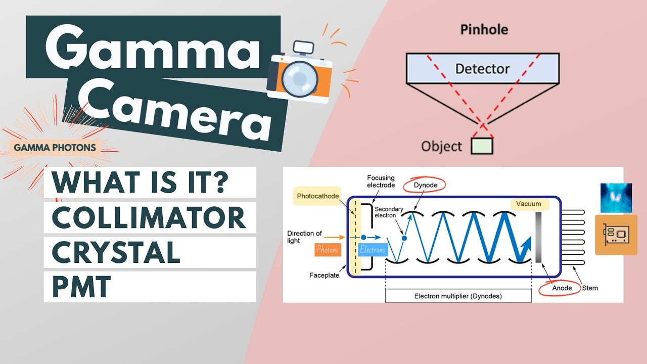 ⁣Gamma camera | Components & Function l Visual explanation