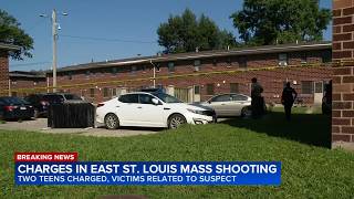 15-year-old girl arrested in southern Illinois killings of her 5 family members; boy also charged