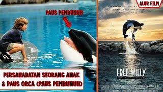 Kisah Persahabatan Yang Langka, Persahabatan Antara Seorang Anak Kecil Dan Paus P3mbunuh