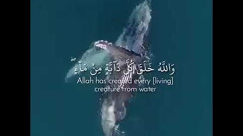 سورة النور آية 45