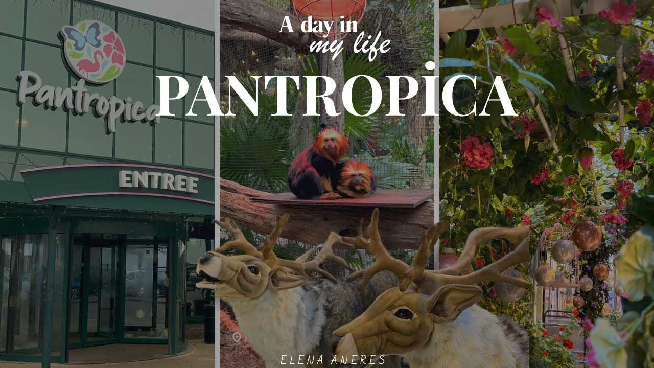Spending a day at Pantropica 🦎🦋- A day in my life🎀 ⚜️(atmospheric vlog)