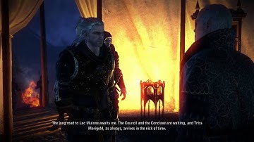 The Witcher 2 Assassins of Kings-Chapter 2 (Iorveth Path)-Royal Blood