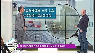 ▷ Los mejores aspiradores antiácaros de 2024: adiós alergias