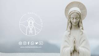 Meditación del Día | Domingo 19 de mayo de 2024. ¡Ven Espiritu Santo, ven!