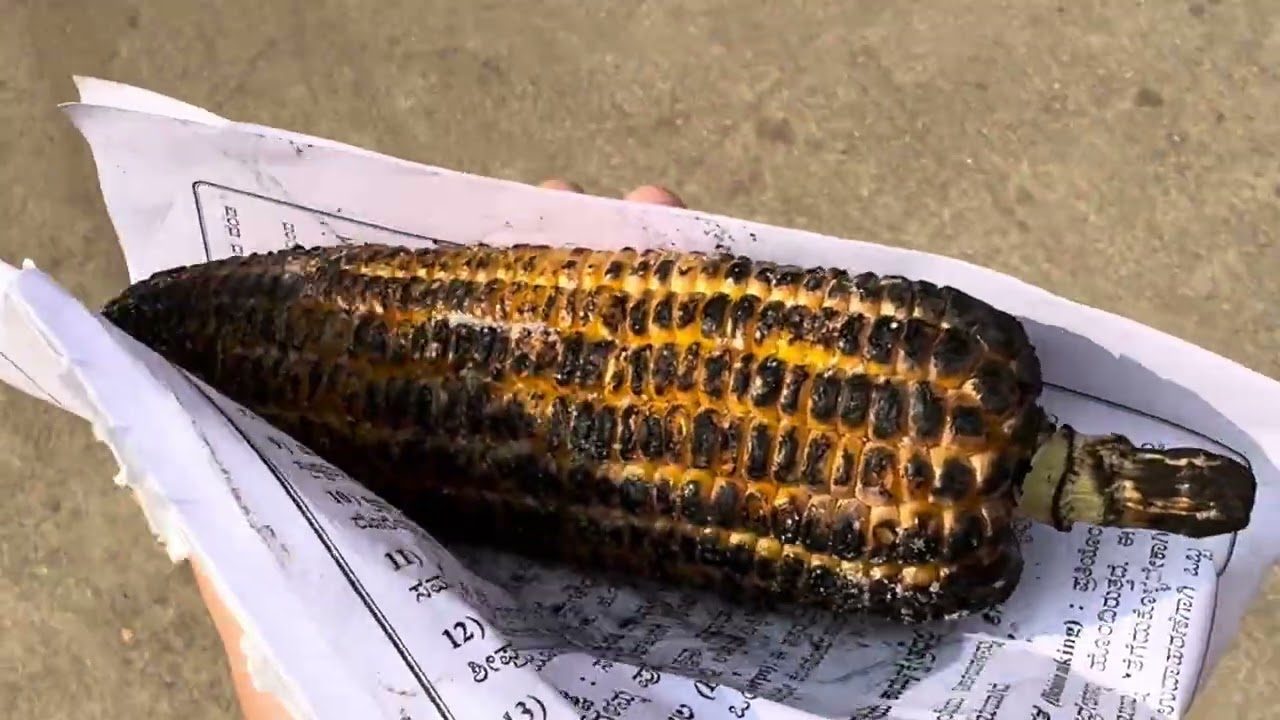Gurudwara Nanak Jhira  sahib Bidar (karnatka)