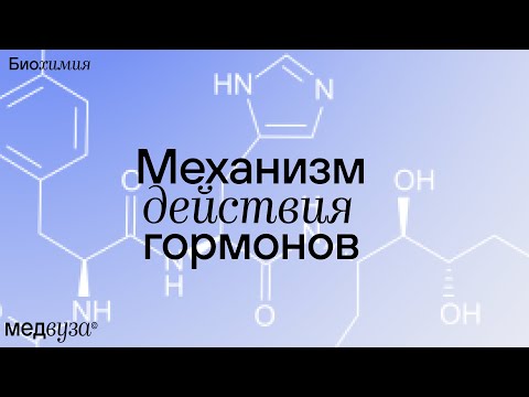 Видео: Какова функция цитозольного викторины?