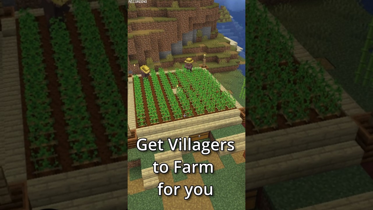 Automatic Villager Farm