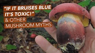 "If It Bruises Blue, It's Toxic!" - And Other Mushroom Myths