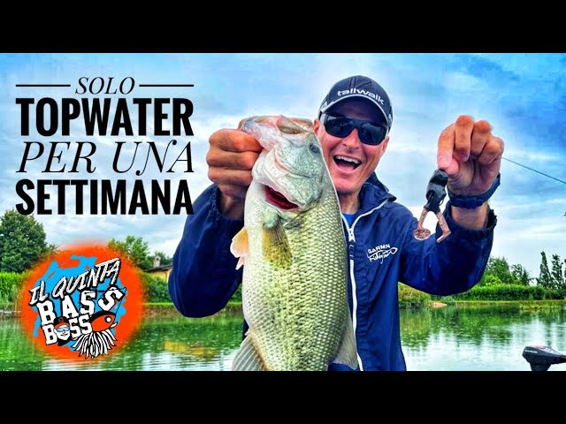 PESCO SOLO A TOPWATER! : Bass Fishing Challenge! Part.1 