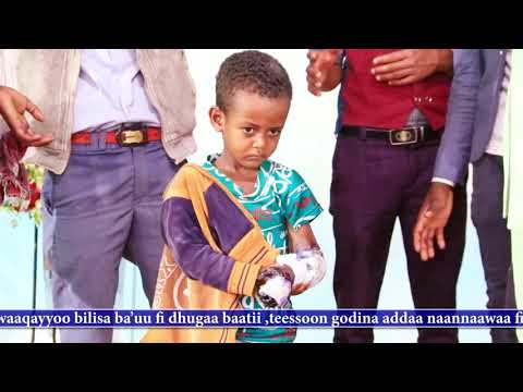 Lafee Cabetu Fayye Humna Caba Fayyisu Ameen Sabescrab Godha