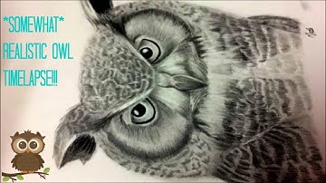 *Somewhat* Realistic Owl Drawing Time Lapse!