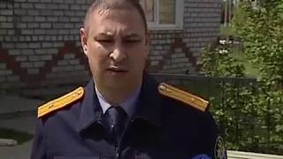 Мухи в Нижнесергинском районе Мухи в Нижнесергинском районе