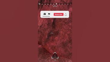 BROKEN Rat Spot Inside Rock on Storm Point