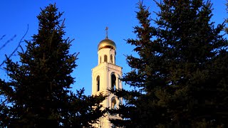 Звонарь - Светлана Гамурарь , Георгий Гамурарь .