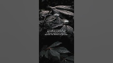 سورة الكهف الاية {١٠٩} حلات وتساب قران ارح سمعك