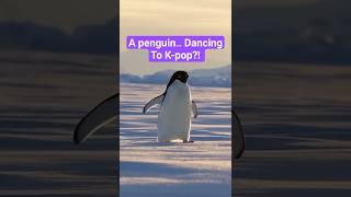 Download Lagu TailEnd 🐧 The Dancing Penguin — When K-pop Hits the Ice! 🎵✨ MP3 Download Lagu TailEnd 🐧 The Dancing Penguin — When K-pop Hits the Ice! 🎵✨ MP3