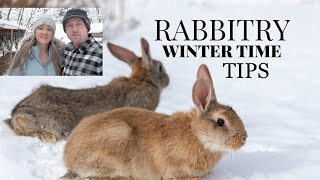RABBITS IN THE WINTER TIME