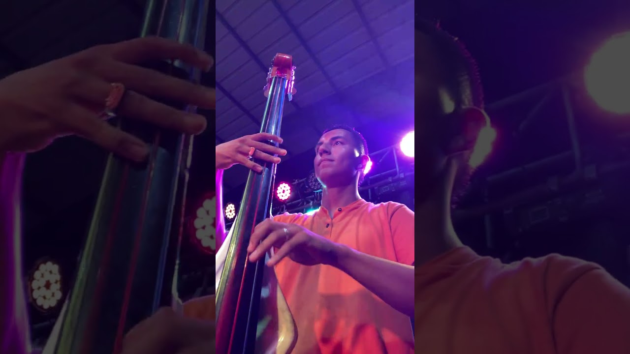 No es una novela Swing Tropical Bass Cam.