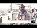 ارتفاع أسعار المواشي ينغص فرحة العيد