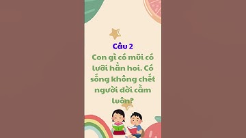 Những câu đố vui ngắn hài hước, đố mẹo hay hack não p8  | Học cùng Jin | #shorts #dovui #braintest