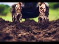 The soils secrets a microbial stress vaccine revolutionizing mental health  neuroscience news