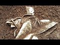 12 Most Incredible Ancient Artifacts Finds