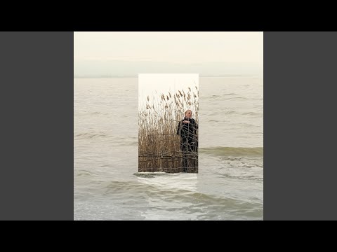 È Inutile Parlare D'Amore artwork